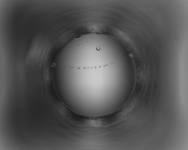 X0000089850317200706281256