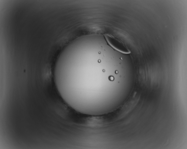 X0000089850320200706281256