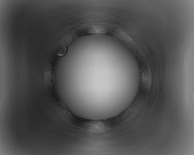 X0000089850322200706281256