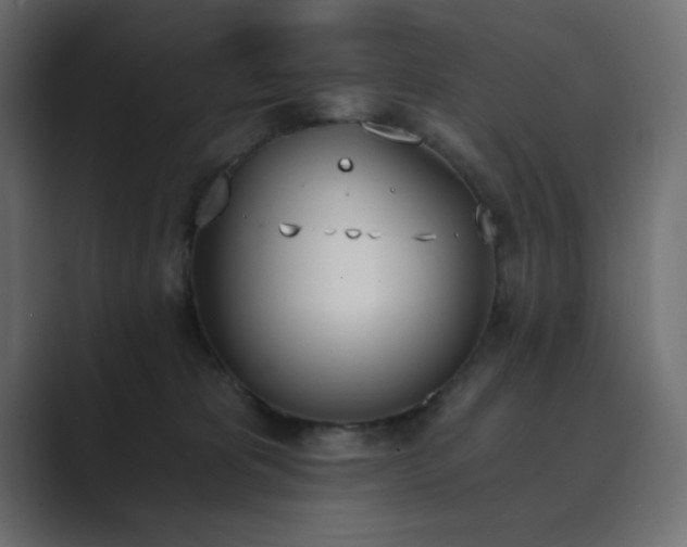 X0000089850325200706281256
