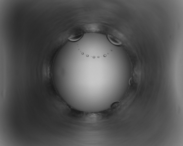 X0000089850330200706281256
