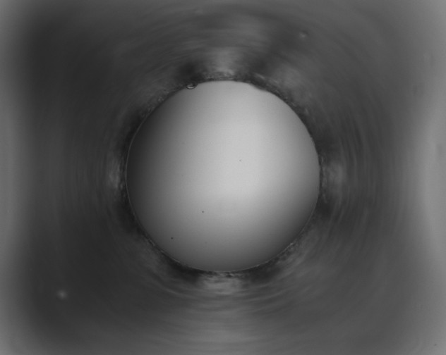 X0000089850331200706281256