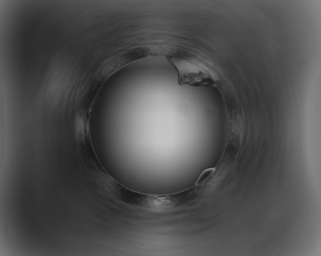 X0000089850333200706281256