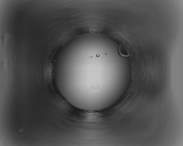 X0000089850336200706281256
