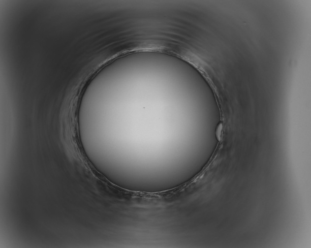 X0000089850337200706281255