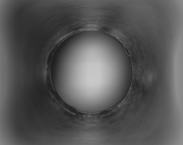 X0000089850338200706281255