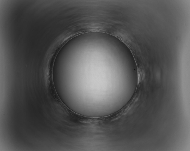 X0000089850339200706281255