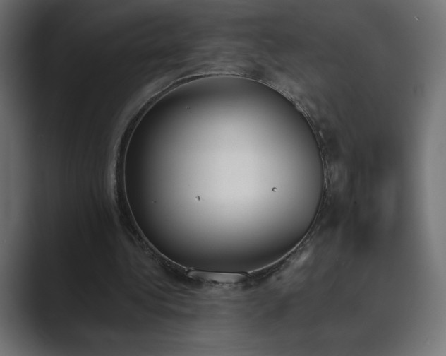 X0000089850340200706281255