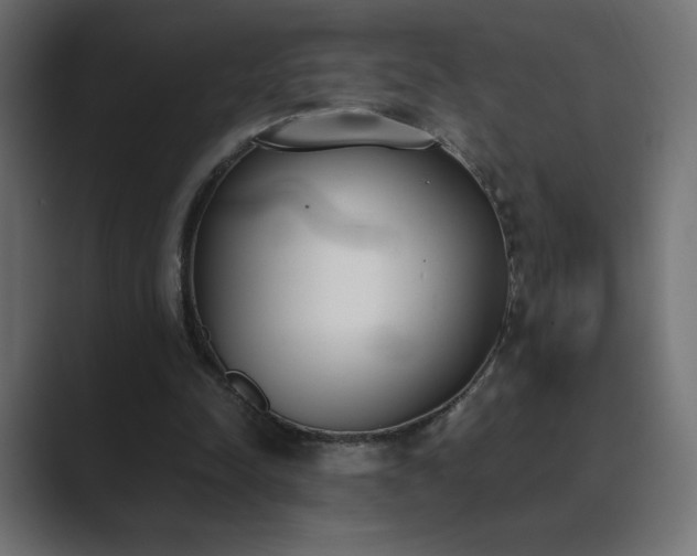 X0000089850342200706281255