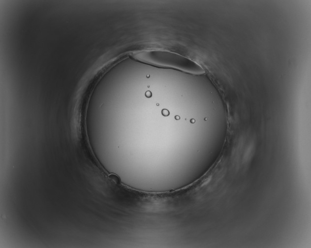 X0000089850343200706281255