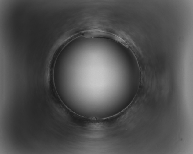 X0000089850344200706281255