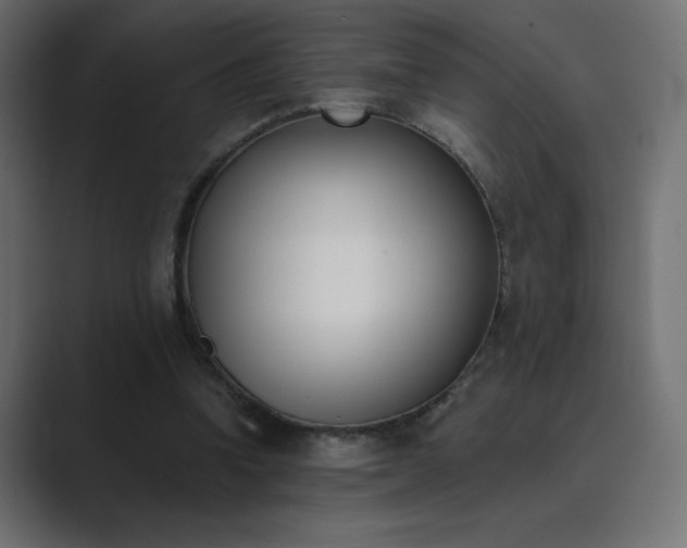 X0000089850346200706281255