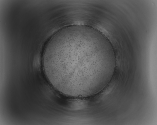 X0000089850347200706281255