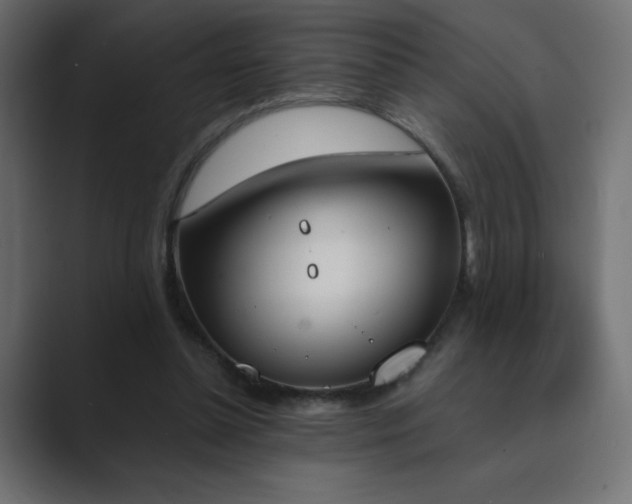 X0000089850348200706281255