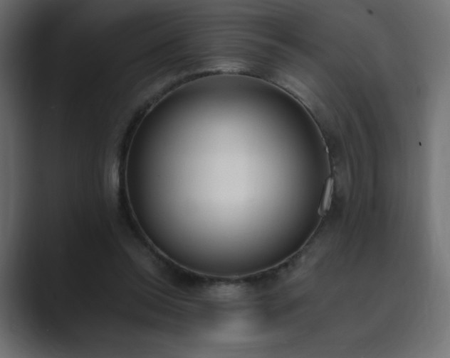 X0000089850350200706281255