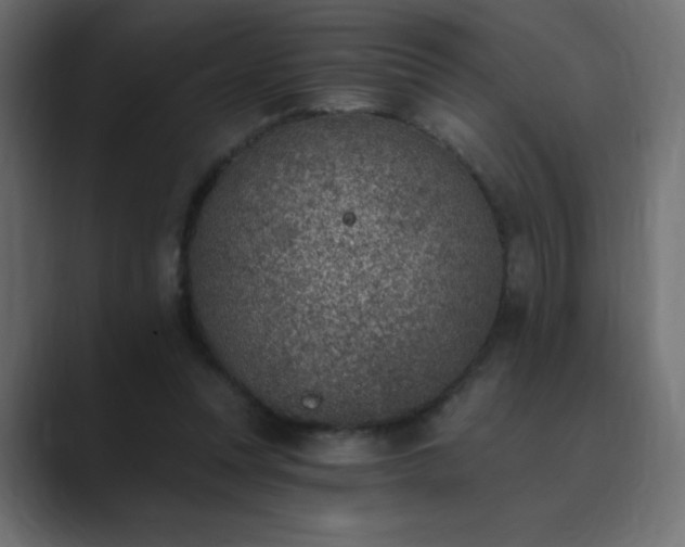 X0000089850351200706281255