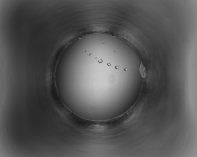 X0000089850352200706281255