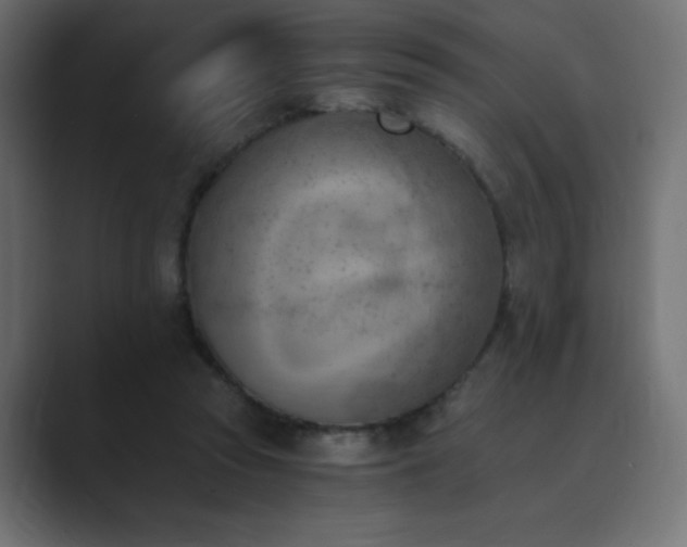 X0000089850353200706281255