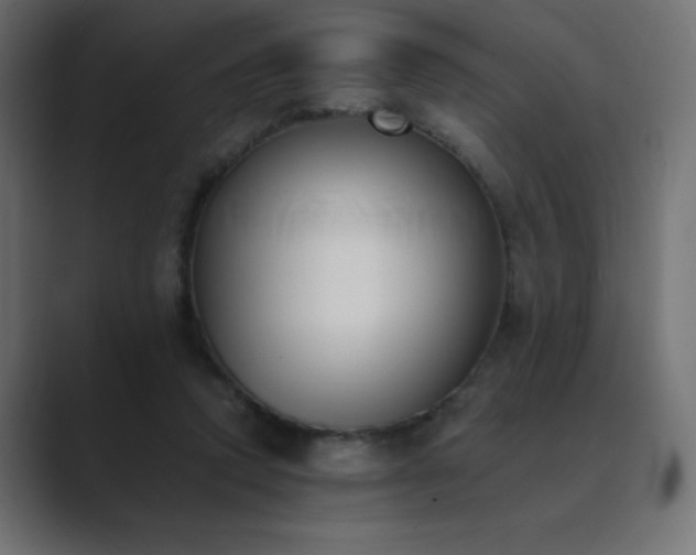 X0000089850354200706281255