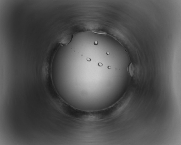 X0000089850356200706281255