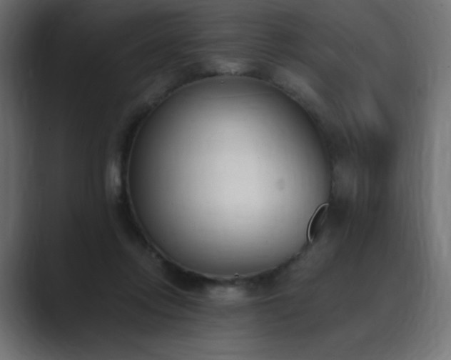 X0000089850358200706281255