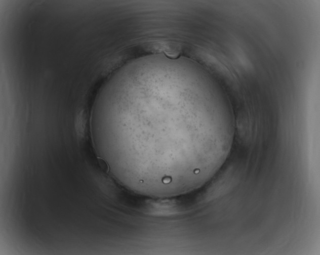 X0000089850359200706281255