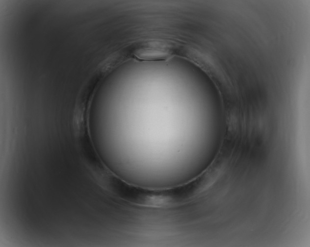 X0000089850360200706281255