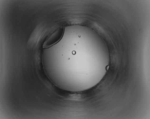 X0000089850362200706281255
