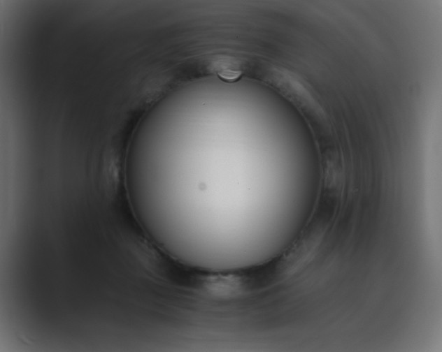 X0000089850363200706281255