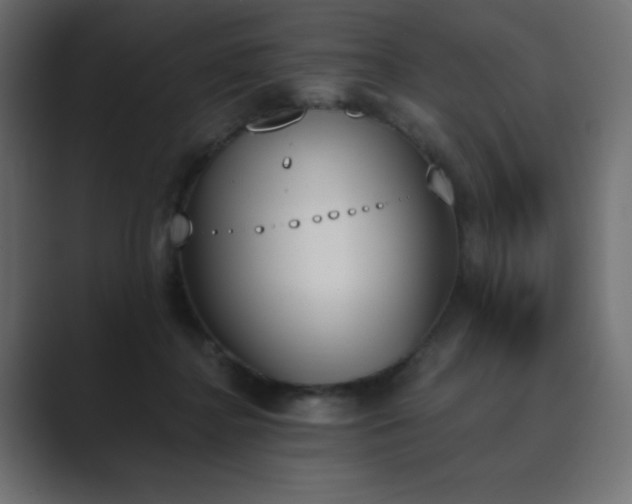 X0000089850364200706281255