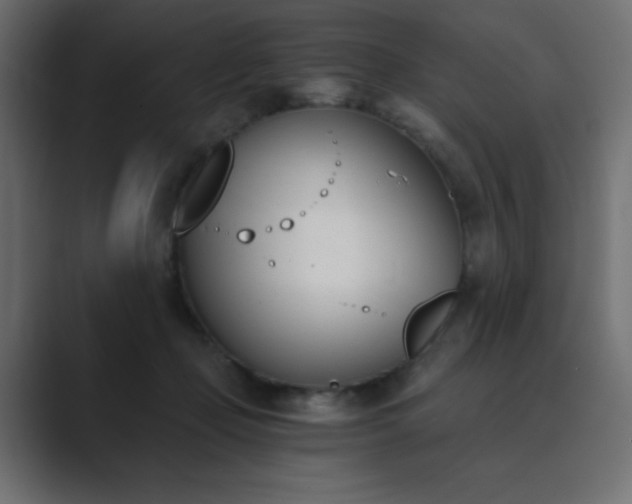 X0000089850365200706281255