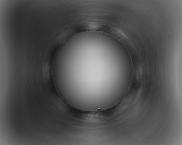 X0000089850366200706281255