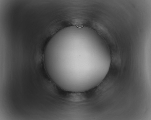 X0000089850367200706281255