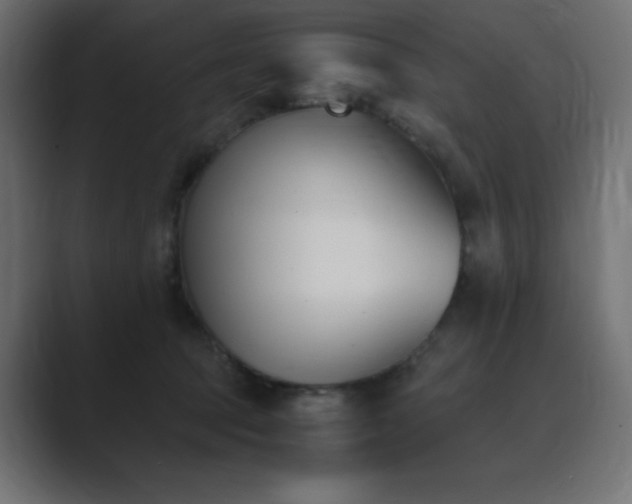 X0000089850369200706281255