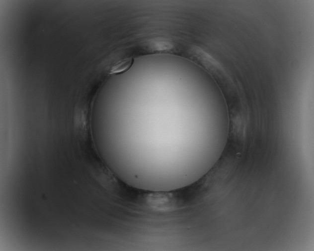 X0000089850373200706281255