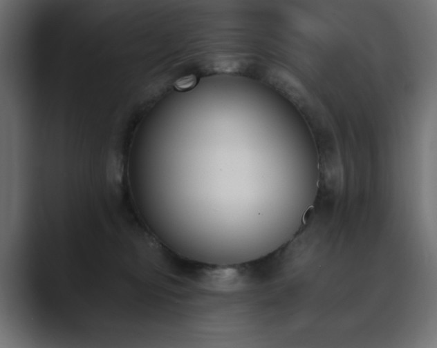 X0000089850374200706281255