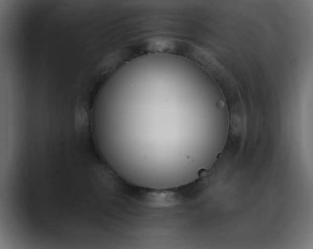 X0000089850375200706281255