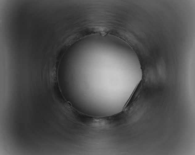 X0000089850376200706281255