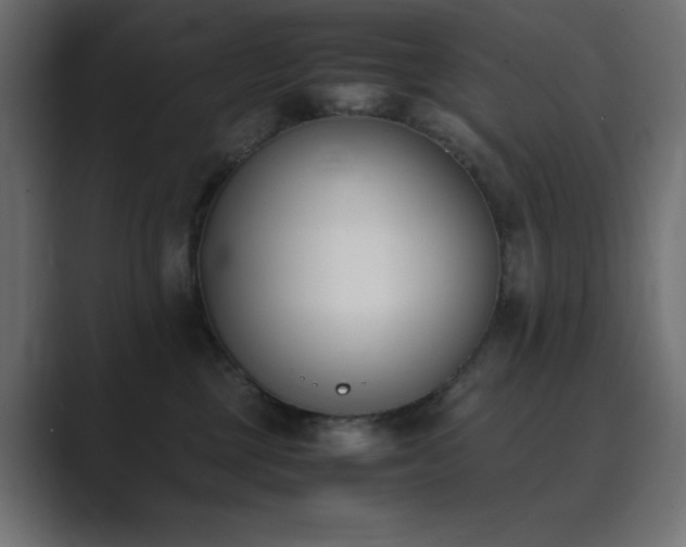 X0000089850377200706281255