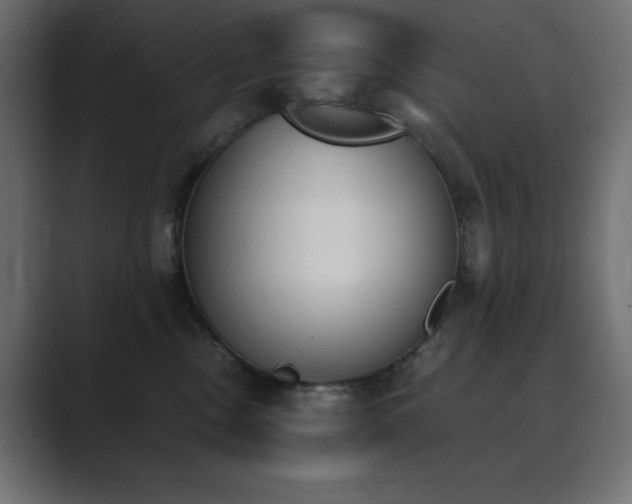 X0000089850378200706281255