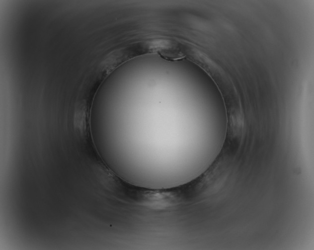 X0000089850379200706281256