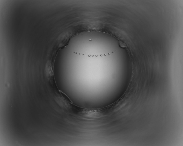 X0000089850384200706281256