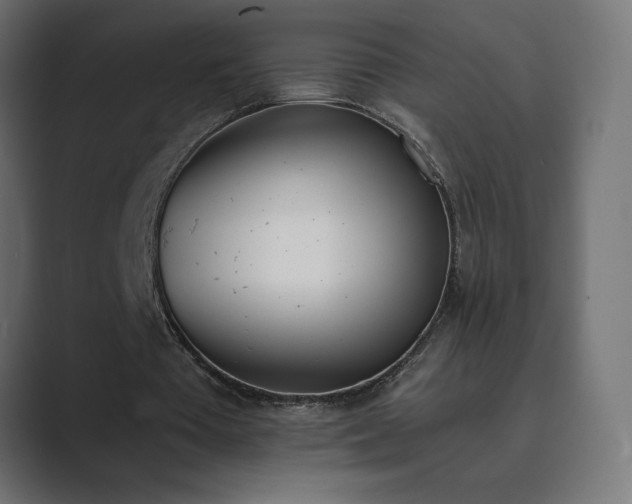 X0000089850385200706281255