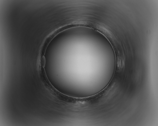 X0000089850388200706281255