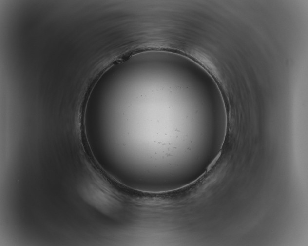 X0000089850389200706281255