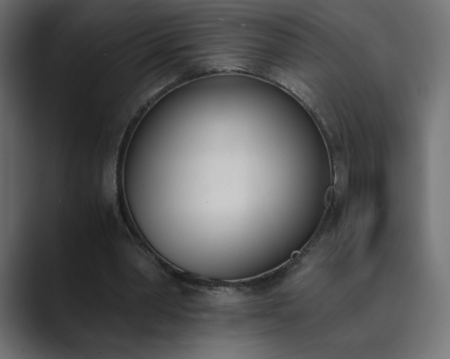 X0000089850390200706281255