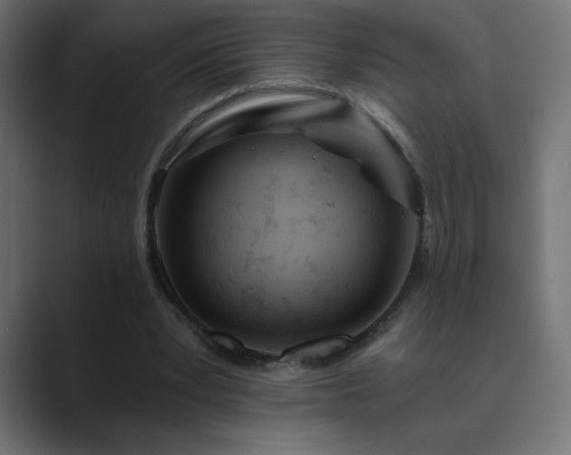X0000089850391200706281255
