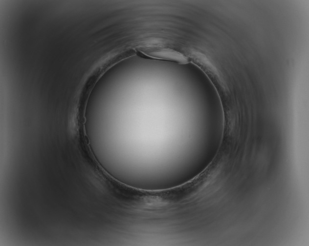 X0000089850392200706281255