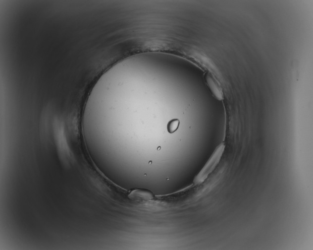 X0000089850393200706281255