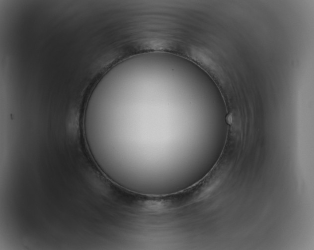 X0000089850394200706281255